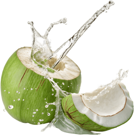 Coconut Water