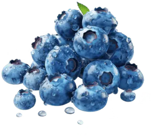 Blueberry