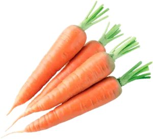 Carrot